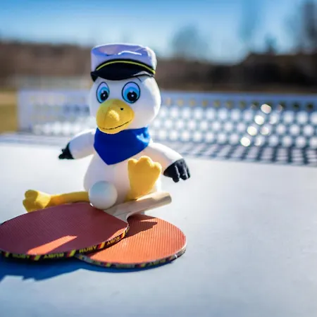 Lagovida Seglerhuette B Am Stoermthaler *