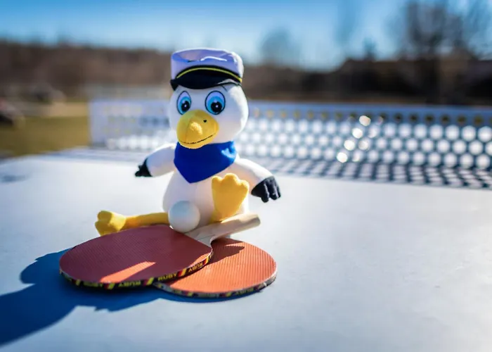 Lagovida Seglerhuette B Am Stoermthaler *